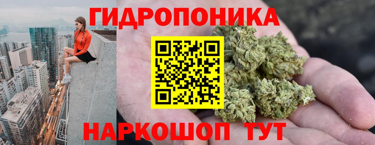 Канабис сатива Карасук